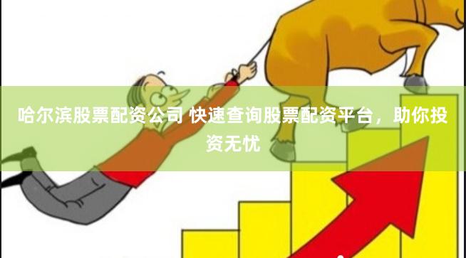 哈尔滨股票配资公司 快速查询股票配资平台，助你投资无忧