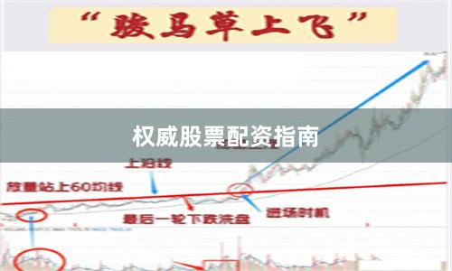 权威股票配资指南